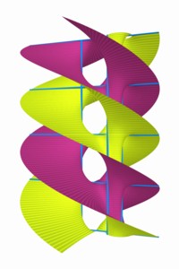 Lopez' Klein Bottle